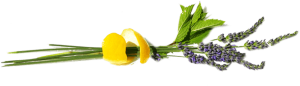 Botanicals