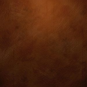 Brown Leather Texture